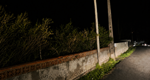“Terrugem Rally Paper” com diversão e espírito de equipa