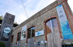 Arte e sustentabilidade unem-se em nova exposição no Museu da Água e Resíduos