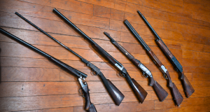 Apreensão de armas de fogo por licenças de uso e porte de arma caducadas