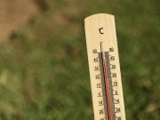 Sete distritos sob aviso amarelo com subida das temperaturas