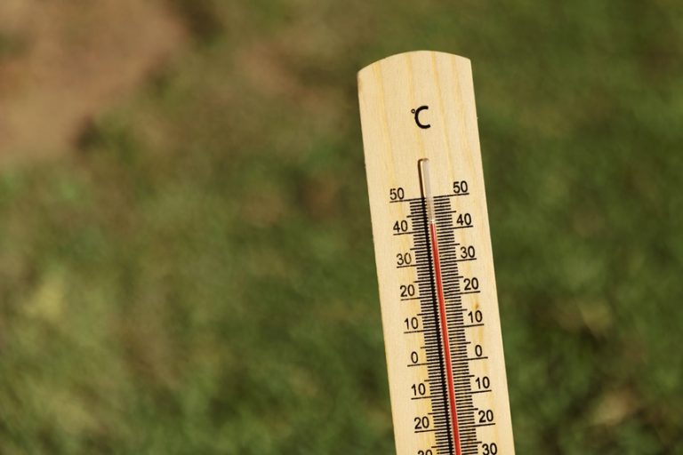 Onda de calor extremo agrava risco de incêndio em Portugal
