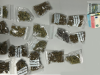 PSP detém suspeito de tráfico de droga em Queluz
