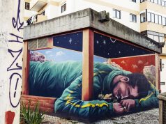 Sepher apresenta novo mural no Parque da Quinta de Santa Teresinha