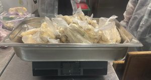 PSP fiscaliza restaurante em armazém na zona Industrial em São Marcos