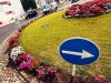 Junta de Freguesia renova canteiros da Rotunda dos Quatro Caminhos