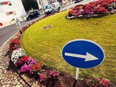 Junta de Freguesia renova canteiros da Rotunda dos Quatro Caminhos