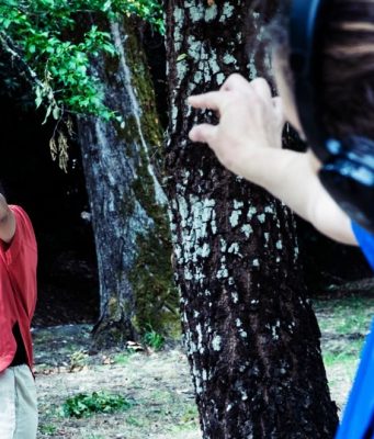 Teatro entre árvores, dança de excelência e música este fim de semana em Sintra