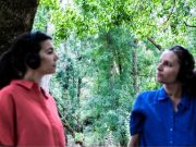 Chão de Oliva leva teatro e natureza à Quinta da Ribafria com “Entre as Árvores”
