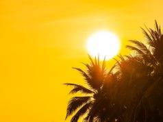 Temperaturas a subir deixam país em alerta para incêndios rurais