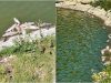 Junta Freguesia reforça aposta na recuperação da lagoa da Assafora