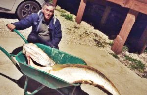 Ricardo Castro captura corvina de 66 quilos na Praia Grande