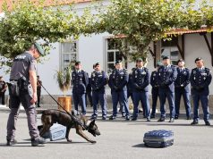 GNR recebe dois cães-polícia especializados na deteção de tabaco
