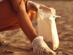 Mais de 98 mil beatas retiradas das praias de Sintra durante o verão
