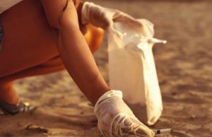 Mais de 98 mil beatas retiradas das praias de Sintra durante o verão