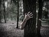 “Caminhada do Terror” regressa à Serra de Sintra