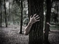 “Caminhada do Terror” regressa à Serra de Sintra
