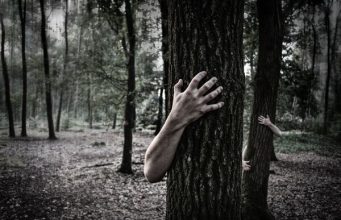 “Caminhada do Terror” regressa à Serra de Sintra