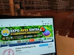 Terrugem acolhe o IX Campeonato Ornitológico este fim de semana