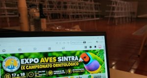 Terrugem acolhe o IX Campeonato Ornitológico este fim de semana