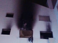 Rápida intervenção dos bombeiros trava incêndio em Agualva-Cacém