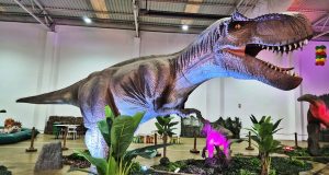 Exposição no Cacém desafia crianças a descobrir o mundo dos dinossauros