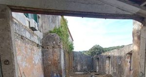 PSP fiscaliza lar ilegal em Belas e deteta alegados maus-tratos a idosos
