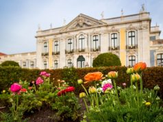 Parques de Sintra apresenta coleção inspirada no Jardim Botânico de Queluz