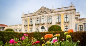 Parques de Sintra apresenta coleção inspirada no Jardim Botânico de Queluz