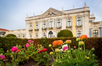 Parques de Sintra apresenta coleção inspirada no Jardim Botânico de Queluz