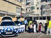 “Falco” e Bombeiros de Queluz surpreendem alunos pelo bem-estar animal