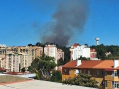 Incêndio em zona de mato na Tapada das Mercês mobiliza 37 bombeiros