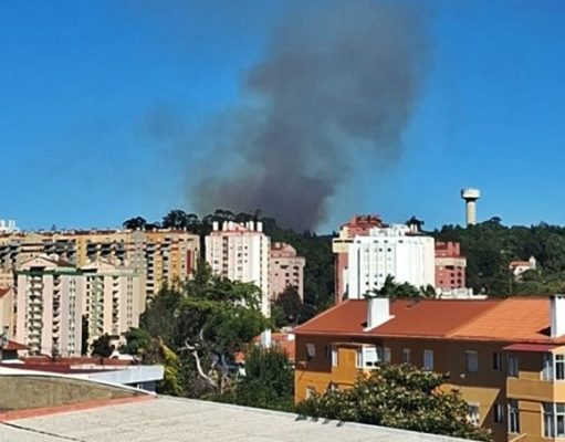 Incêndio em zona de mato na Tapada das Mercês mobiliza 37 bombeiros